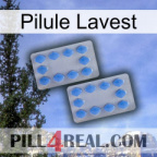 Lavest Pill 20